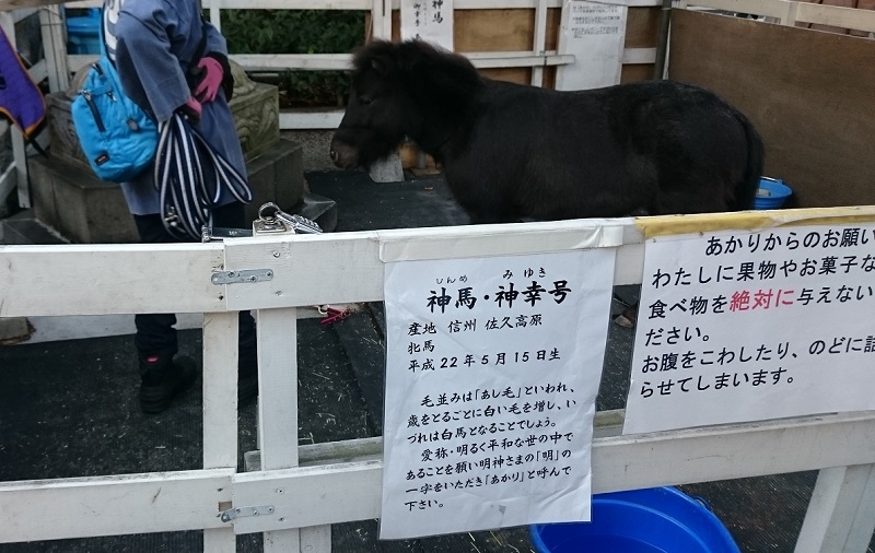 練馬区、中村橋・富士見台、サヤン鍼灸院・接骨院ブログ、2017年あかり