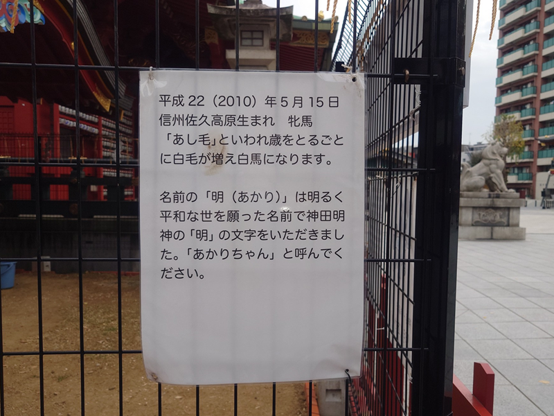 練馬区、中村橋・富士見台、サヤン鍼灸院・接骨院ブログ、神田明神、あかり３