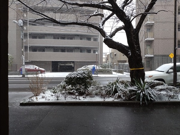 練馬区、中村橋・富士見台、サヤン鍼灸院・接骨院ブログ、雪景色