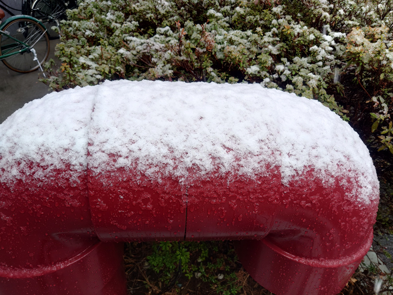 練馬区、中村橋・富士見台、サヤン鍼灸院・接骨院ブログ、3月10日積雪