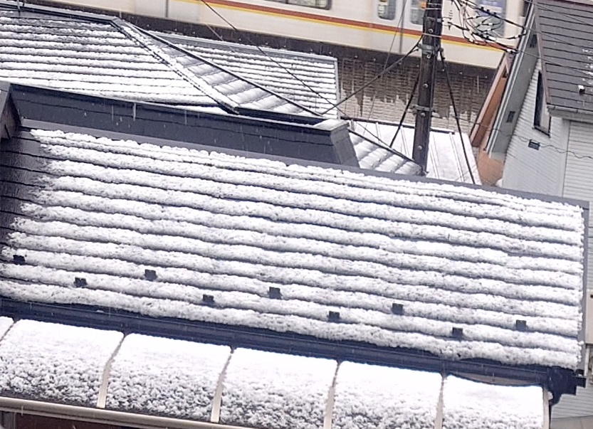 練馬区、中村橋・富士見台、サヤン鍼灸院・接骨院ブログ、3月19日の雪