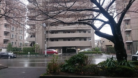 練馬区、中村橋・富士見台、サヤン鍼灸院・接骨院ブログ、３月２１日雪