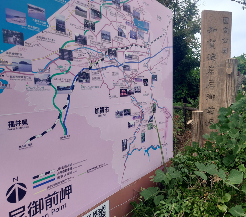 練馬区、中村橋・富士見台、サヤン鍼灸院・接骨院ブログ、尼御前岬１