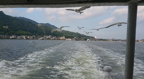 練馬区、中村橋・富士見台、サヤン鍼灸院・接骨院ブログ、天橋立フェリーとカモメ１