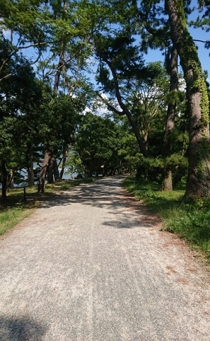 練馬区、中村橋・富士見台、サヤン鍼灸院・接骨院ブログ、天橋立・松並木