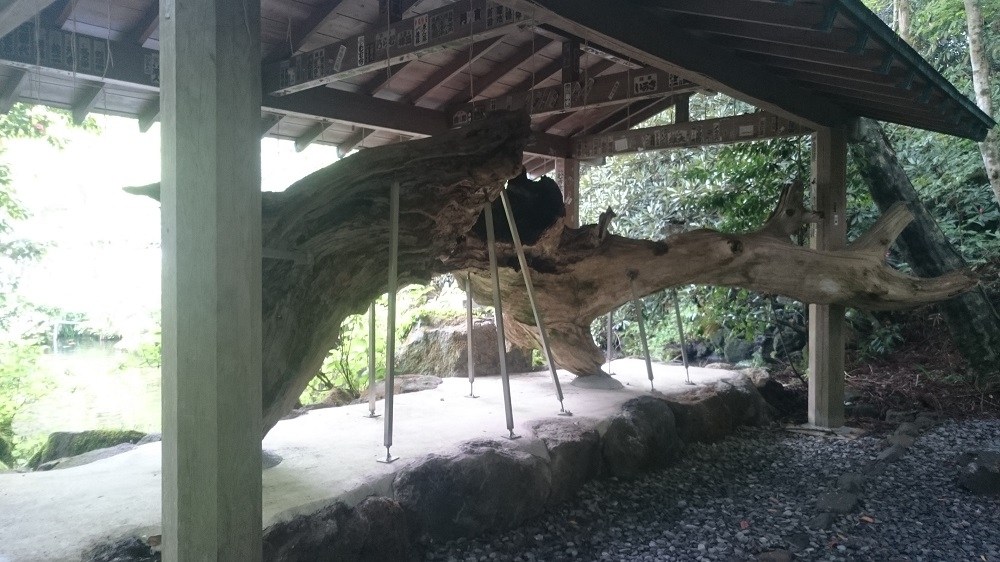 練馬区、中村橋・富士見台、サヤン鍼灸院・接骨院、芦ノ湖けけら木