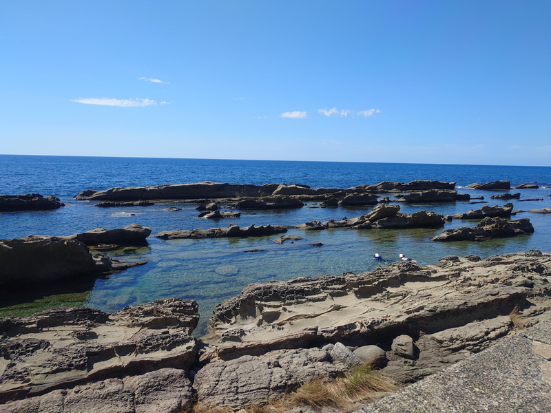 練馬区、中村橋・富士見台、サヤン鍼灸院・接骨院ブログ、弁慶の洗濯板2