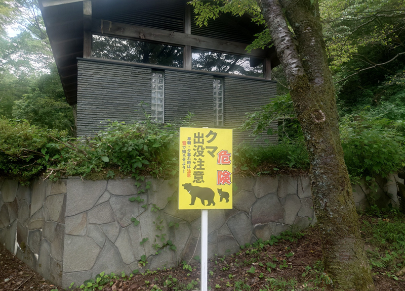 練馬区、中村橋・富士見台、サヤン鍼灸院・接骨院ブログ、マインロード、熊注意
