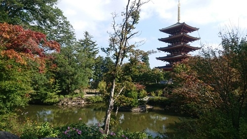 練馬区、中村橋・富士見台、サヤン鍼灸院・接骨院ブログ、京都・成相寺、底なしの池