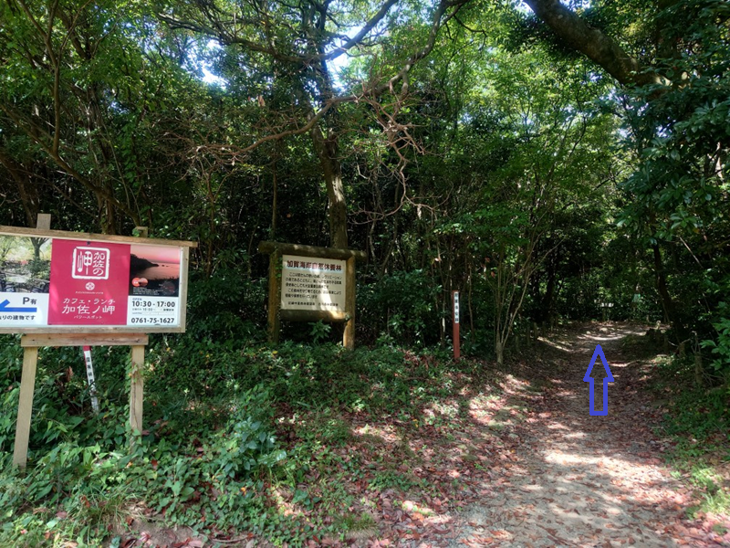 練馬区、中村橋・富士見台、サヤン鍼灸院・接骨院ブログ、加佐の岬、林道分岐１