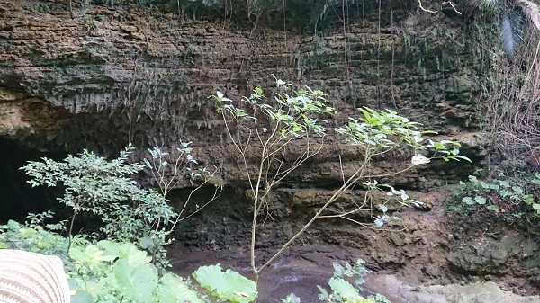 練馬区、中村橋・富士見台、サヤン鍼灸院・接骨院ブログ、ガンガラーの谷、イキガ洞入口１