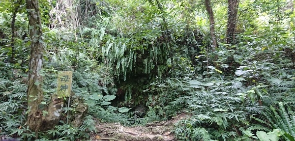 練馬区、中村橋・富士見台、サヤン鍼灸院・接骨院ブログ、ガンガラーの谷、イナグ洞１