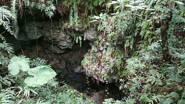 練馬区、中村橋・富士見台、サヤン鍼灸院・接骨院ブログ、ガンガラーの谷、イナグ洞２