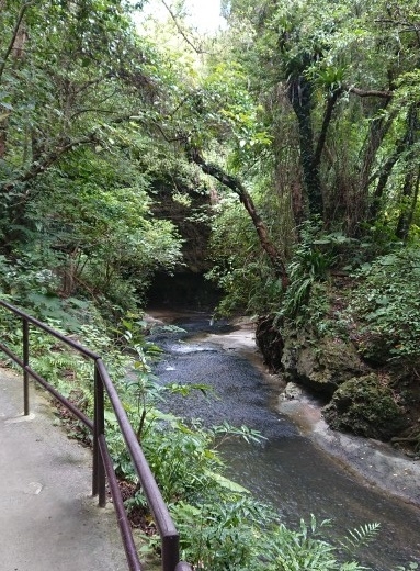 練馬区、中村橋・富士見台、サヤン鍼灸院・接骨院ブログ、ガンガラーの谷、川辺２