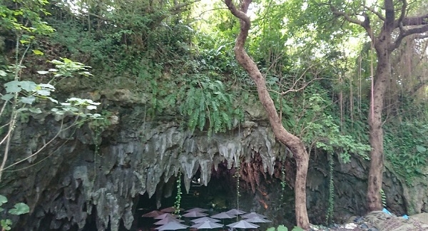 練馬区、中村橋・富士見台、サヤン鍼灸院・接骨院ブログ、ガンガラーの谷、ケイブカフェ入口