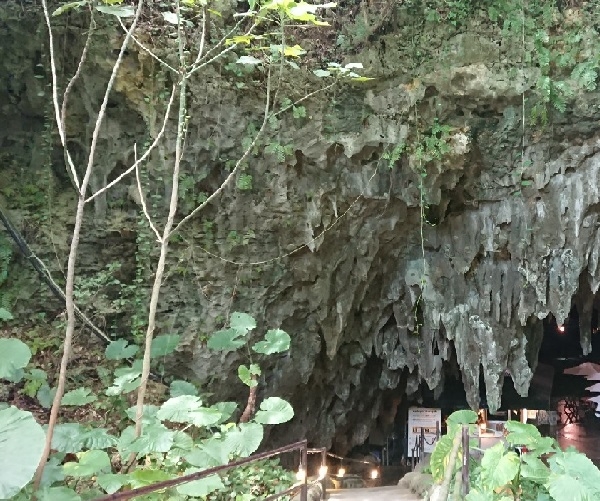 練馬区、中村橋・富士見台、サヤン鍼灸院・接骨院ブログ、ガンガラーの谷、ケイブカフェ入口内