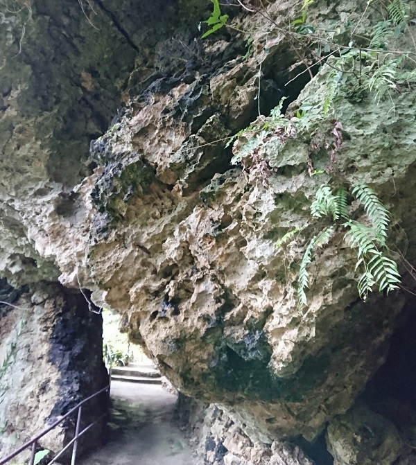 練馬区、中村橋・富士見台、サヤン鍼灸院・接骨院ブログ、ガンガラーの谷、大主への登り道