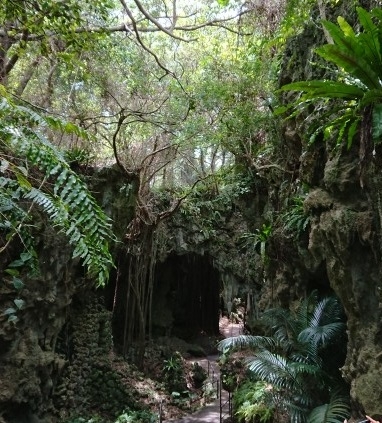 練馬区、中村橋・富士見台、サヤン鍼灸院・接骨院ブログ、大主を振り返って