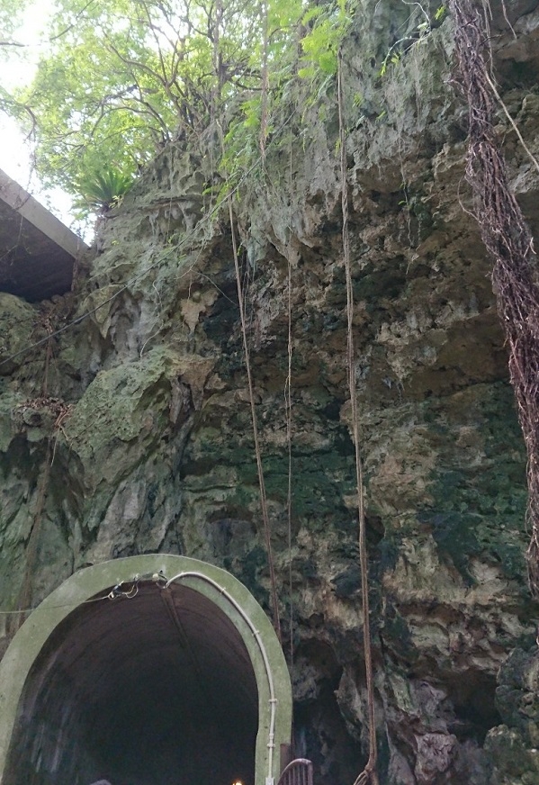 練馬区、中村橋・富士見台、サヤン鍼灸院・接骨院ブログ、ガンガラーの谷、谷の由来の洞窟出口