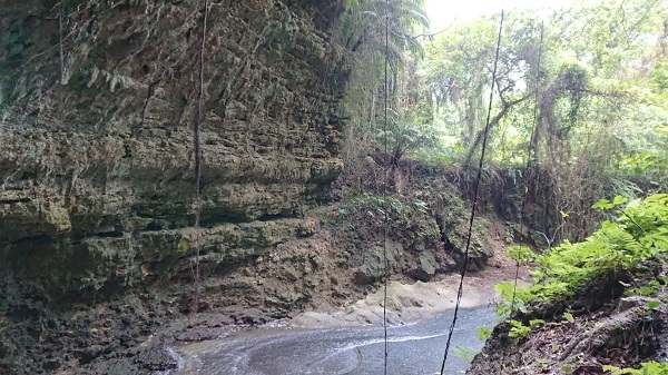 練馬区、中村橋・富士見台、サヤン鍼灸院・接骨院ブログ、ガンガラーの谷、イキガ洞出口２