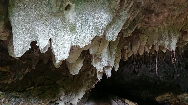 練馬区、中村橋・富士見台、サヤン鍼灸院・接骨院ブログ、ガンガラーの谷、イキガ洞内部２