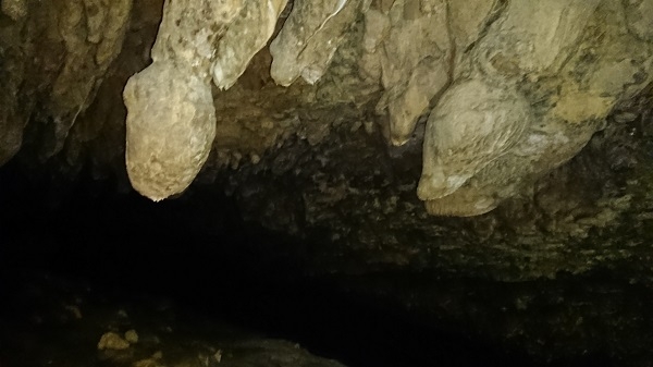 練馬区、中村橋・富士見台、サヤン鍼灸院・接骨院ブログ、ガンガラーの谷、イキガ洞内部６