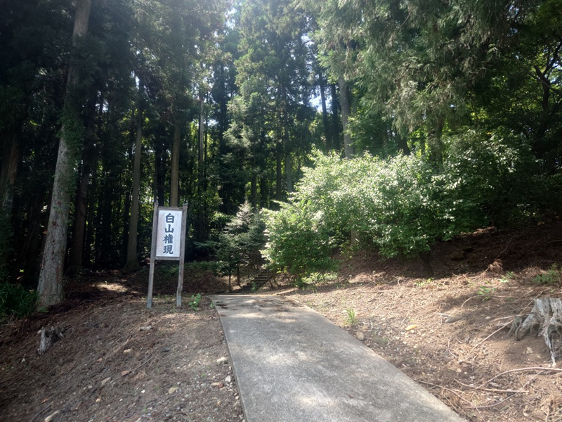 練馬区、中村橋・富士見台、サヤン鍼灸院・接骨院ブログ、白山権現１