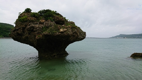 練馬区、中村橋・富士見台、サヤン鍼灸院・接骨院ブログ、アマミチューの墓、キノコ岩