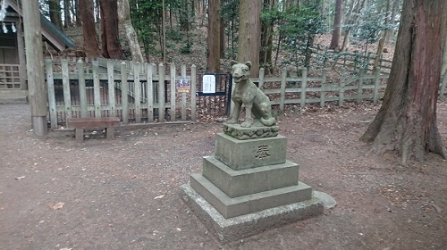 練馬区、中村橋・富士見台、サヤン鍼灸院・接骨院ブログ、長瀞、宝登山、狛狼