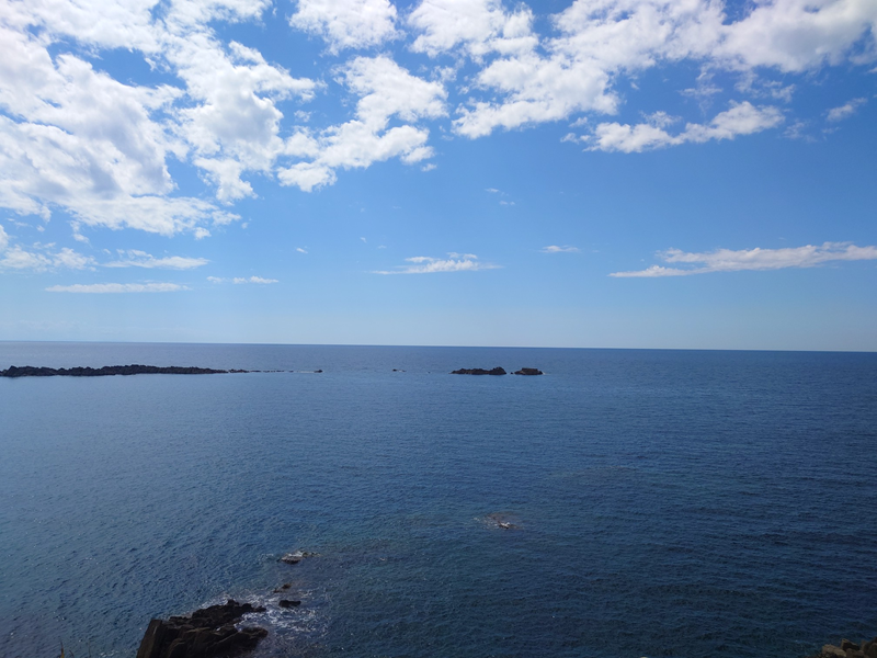 練馬区、中村橋・富士見台、サヤン鍼灸院・接骨院ブログ、日本海１