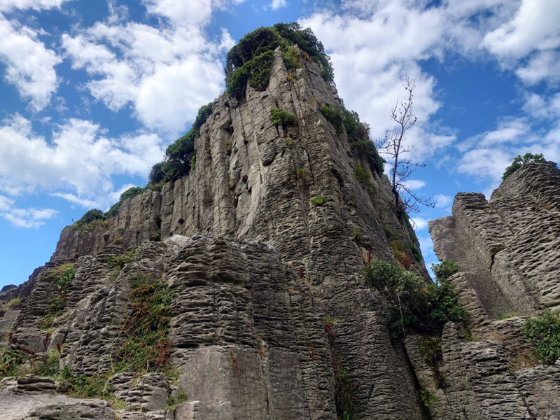 練馬区、中村橋・富士見台、サヤン鍼灸院・接骨院ブログ、鉾島3