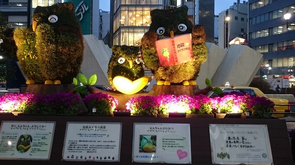 練馬区、中村橋・富士見台、サヤン鍼灸院・接骨院です。いけふくろうを見て来ました。