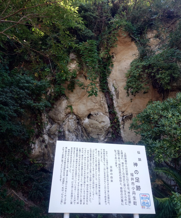 練馬区、中村橋・富士見台、サヤン鍼灸院・接骨院ブログ、神の足跡3