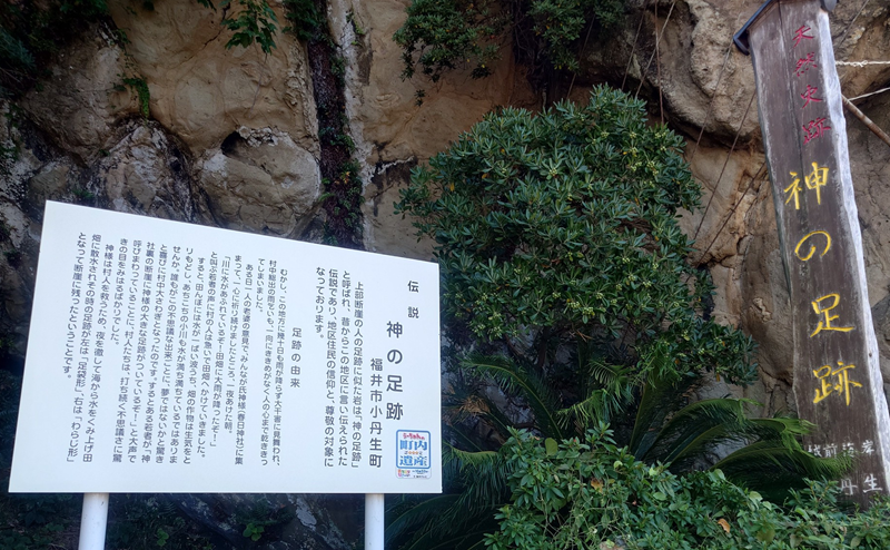 練馬区、中村橋・富士見台、サヤン鍼灸院・接骨院ブログ、神の足跡1