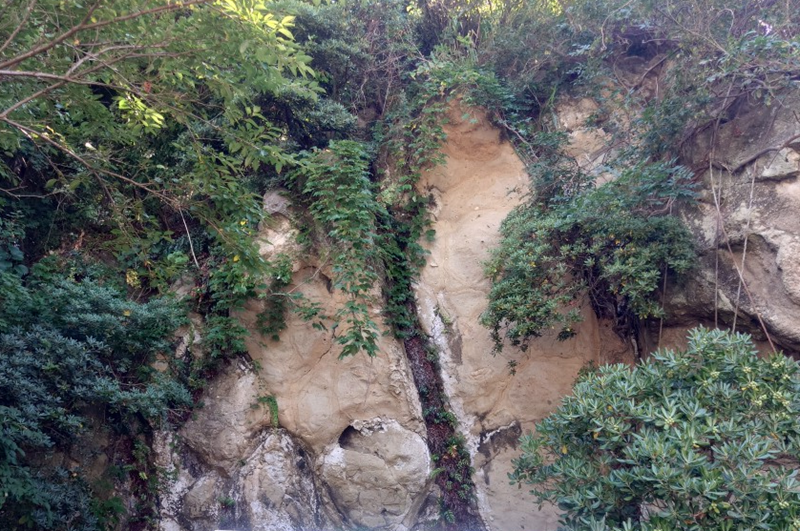 練馬区、中村橋・富士見台、サヤン鍼灸院・接骨院ブログ、神の足跡2