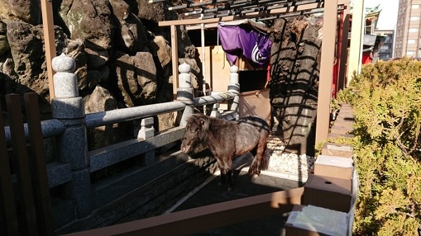 練馬区、中村橋・富士見台、サヤン鍼灸院・接骨院ブログ、神田明神、あかりちゃん