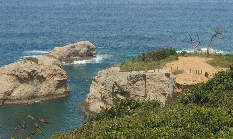 練馬区、中村橋・富士見台、サヤン鍼灸院・接骨院ブログ、加佐の岬、先端２
