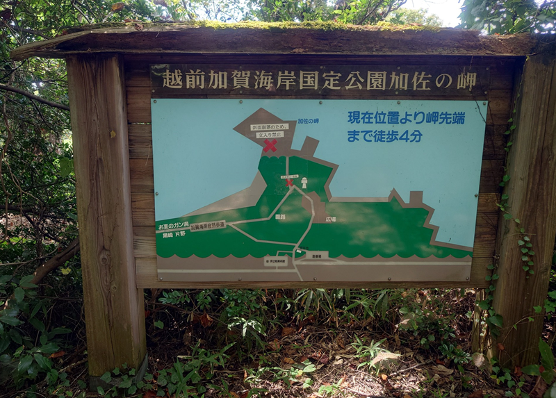 練馬区、中村橋・富士見台、サヤン鍼灸院・接骨院ブログ、加佐の岬、地図２
