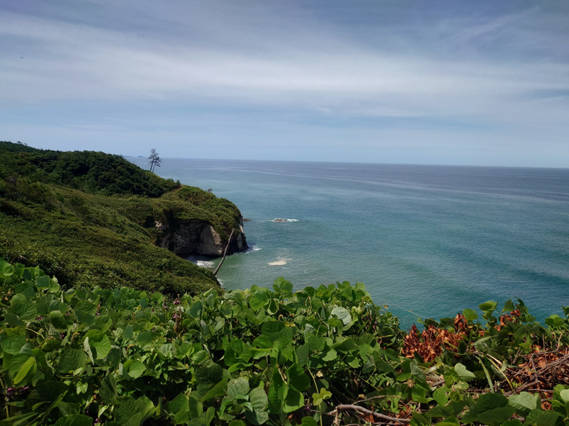 練馬区、中村橋・富士見台、サヤン鍼灸院・接骨院ブログ、加佐の岬、片野に至る道３