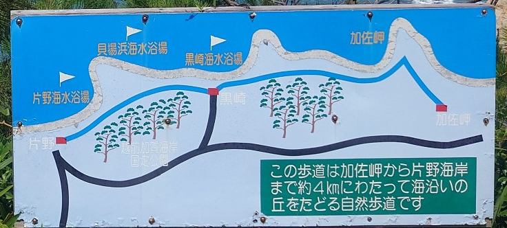 練馬区、中村橋・富士見台、サヤン鍼灸院・接骨院ブログ、加佐の岬、片野に至る道２