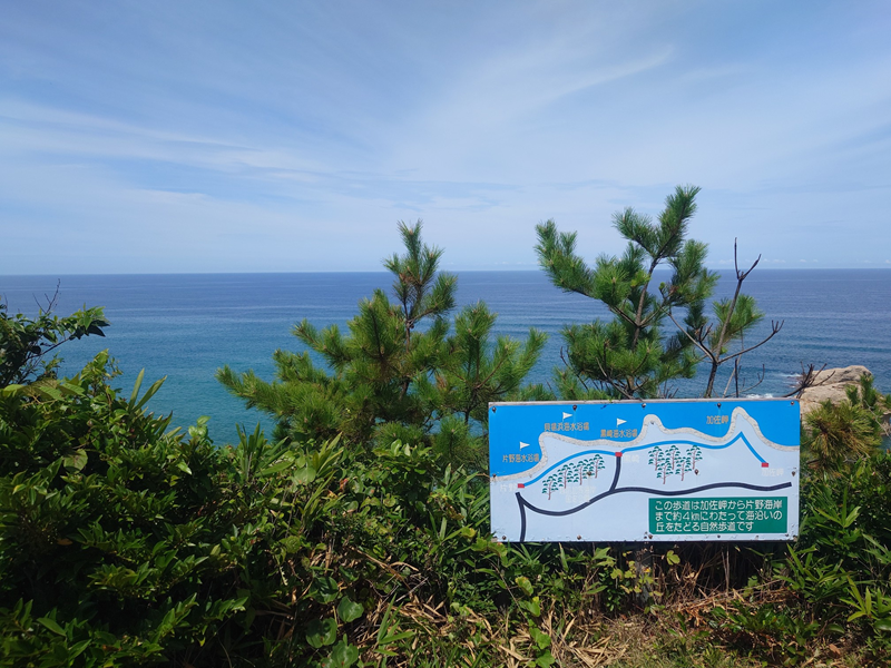 練馬区、中村橋・富士見台、サヤン鍼灸院・接骨院ブログ、加佐の岬、片野に至る道１