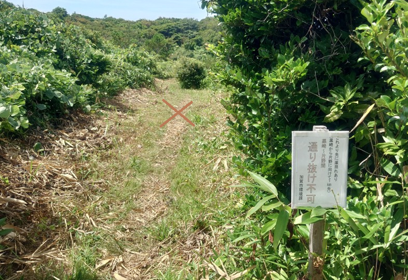 練馬区、中村橋・富士見台、サヤン鍼灸院・接骨院ブログ、加佐の岬、片野に至る道、通行止め