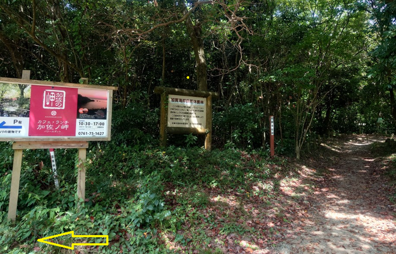 練馬区、中村橋・富士見台、サヤン鍼灸院・接骨院ブログ、加佐の岬カフェ分岐