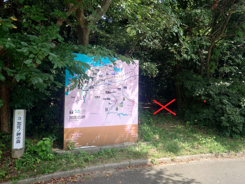 練馬区、中村橋・富士見台、サヤン鍼灸院・接骨院ブログ、加佐の岬、森へ