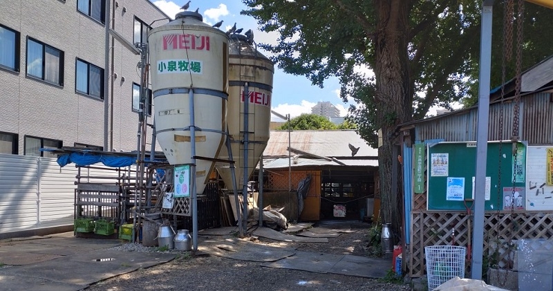 練馬区、中村橋・富士見台、サヤン鍼灸院・接骨院ブログ、小泉牧場２