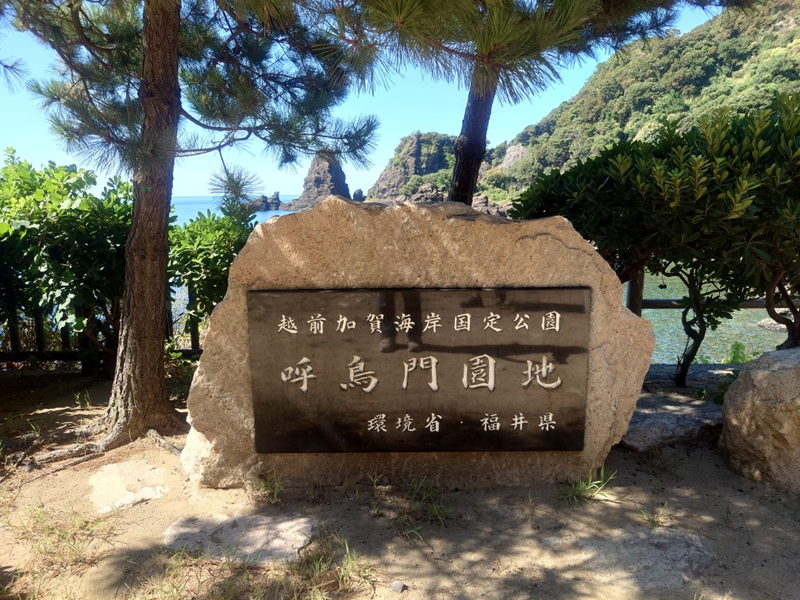 練馬区、中村橋・富士見台、サヤン鍼灸院・接骨院ブログ、呼鳥門1