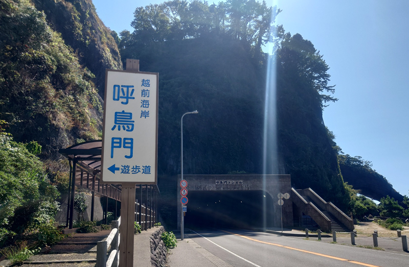 練馬区、中村橋・富士見台、サヤン鍼灸院・接骨院ブログ、呼鳥門、遊歩道1