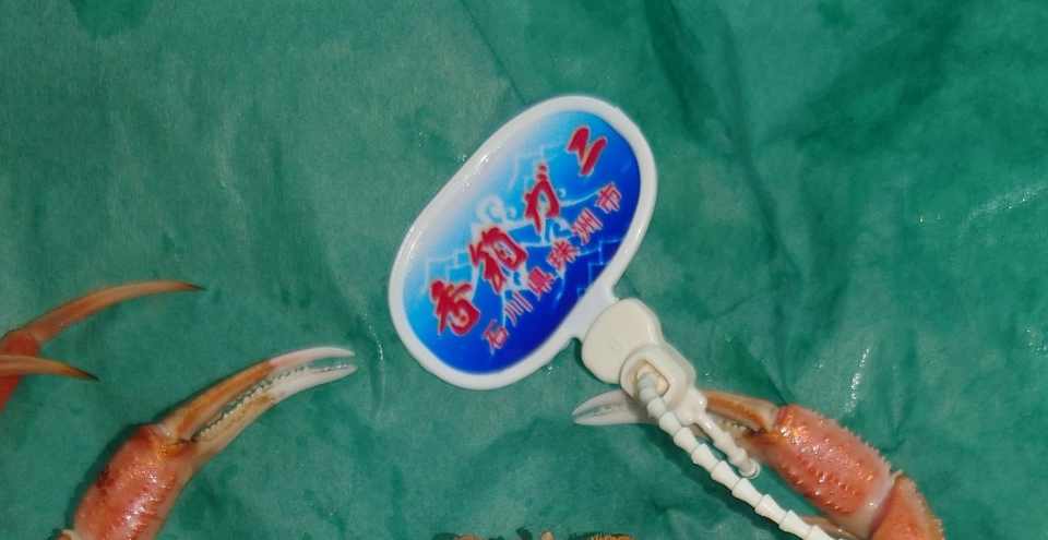 練馬区、中村橋・富士見台、サヤン鍼灸院・接骨院ブログ、香箱ガニ、タグ