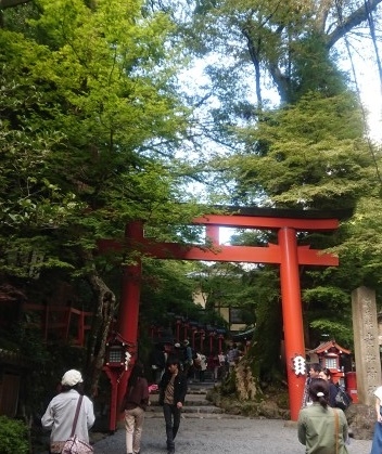 練馬区、中村橋・富士見台、サヤン鍼灸院・接骨院ブログ、貴船神社前