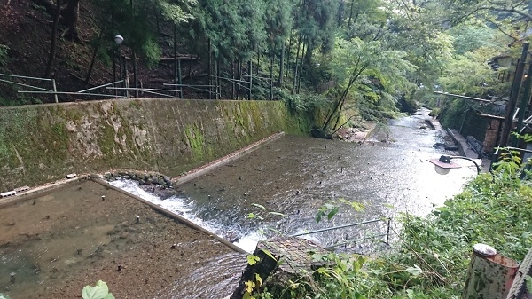 練馬区、中村橋・富士見台、サヤン鍼灸院・接骨院ブログ、貴船神社・川床